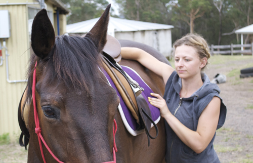 girl saddling horse