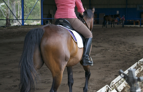 riding in the indoor arena