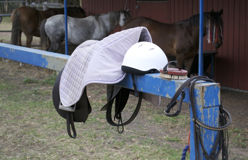 horse riding equipment