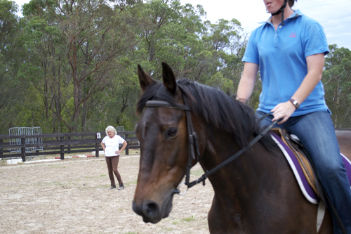 riding lesson 2